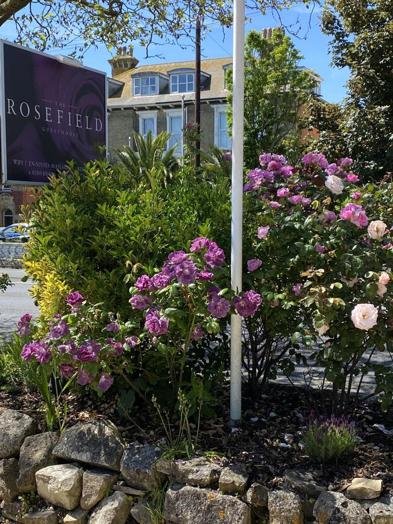 Hotel The Rosefield Weymouth Zewnętrze zdjęcie